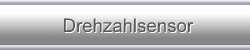 Drehzahlsensor